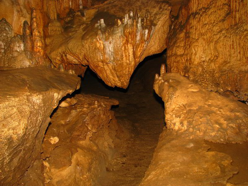 Florida-Caverns-State-Park-Marianna-FL-130