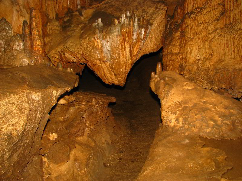 Florida-Caverns-State-Park-Marianna-FL-130