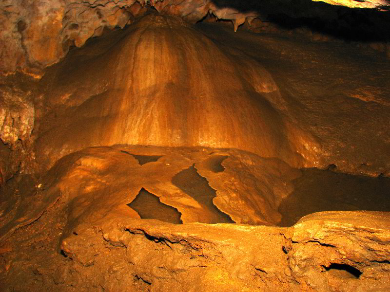 Florida-Caverns-State-Park-Marianna-FL-131