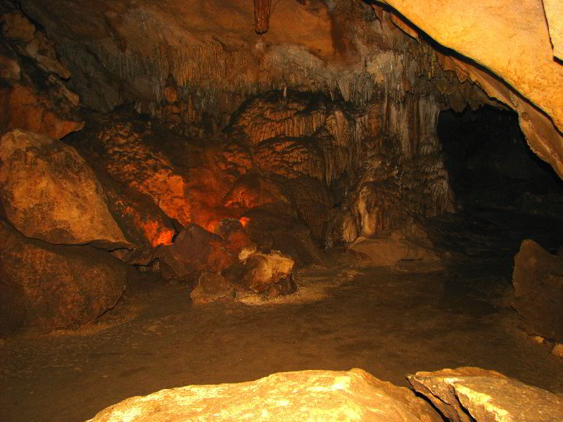 Florida-Caverns-State-Park-Marianna-FL-132