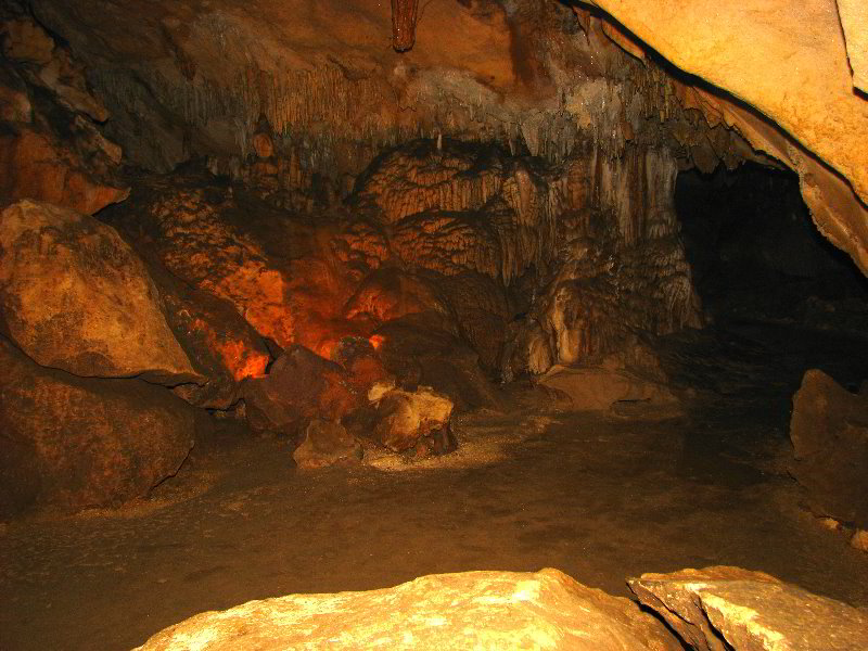 Florida-Caverns-State-Park-Marianna-FL-132
