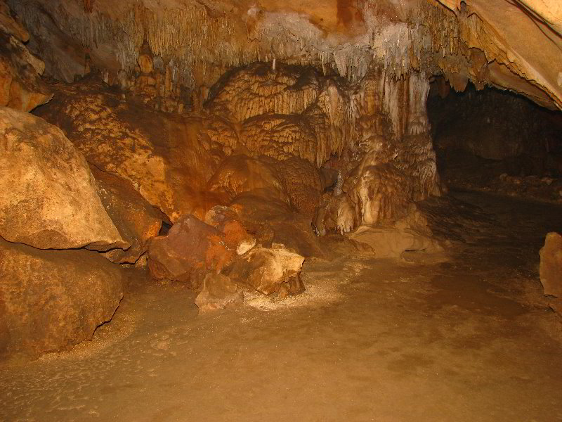 Florida-Caverns-State-Park-Marianna-FL-133