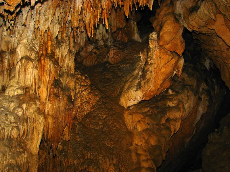 Florida-Caverns-State-Park-Marianna-FL-134