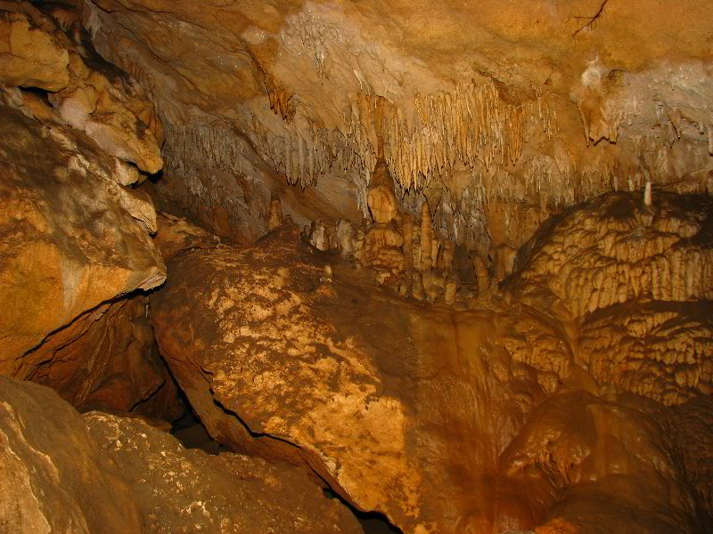 Florida-Caverns-State-Park-Marianna-FL-135