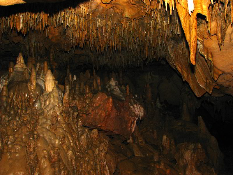 Florida-Caverns-State-Park-Marianna-FL-137