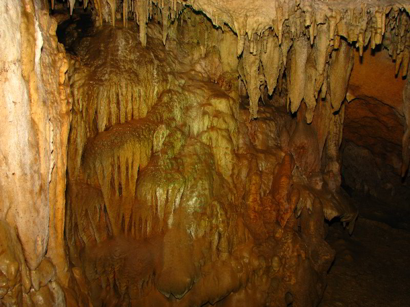 Florida-Caverns-State-Park-Marianna-FL-138