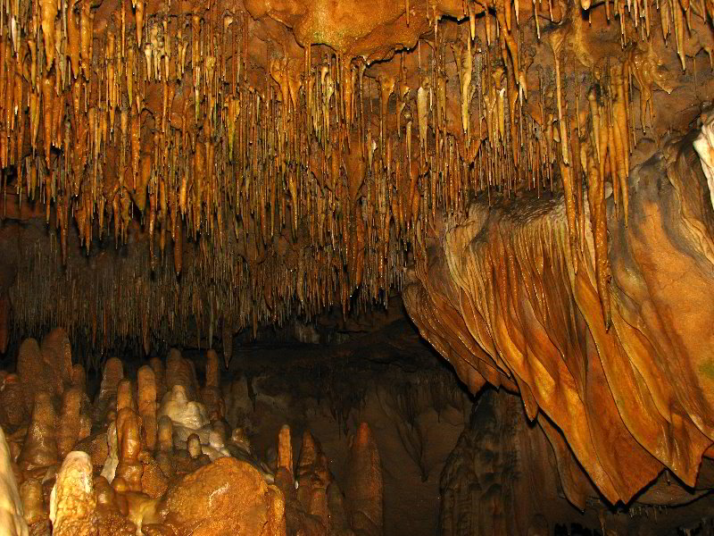 Florida-Caverns-State-Park-Marianna-FL-139
