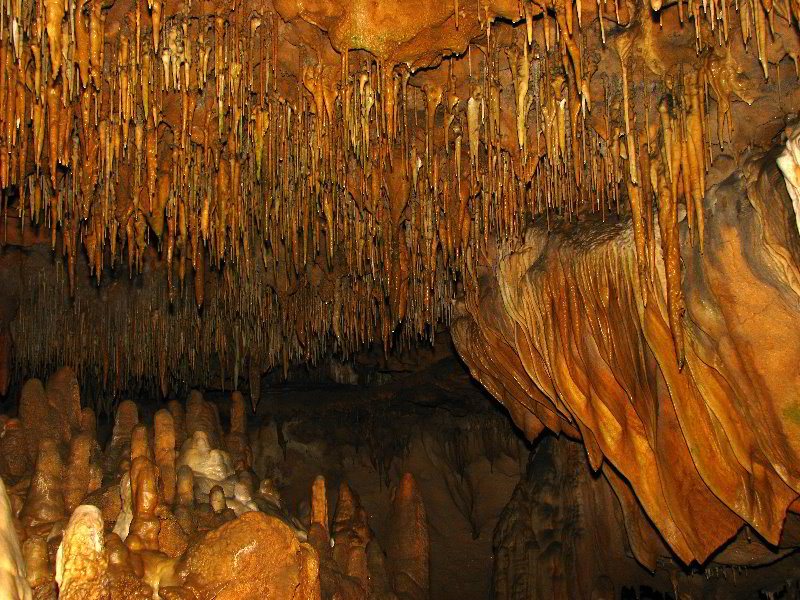 Florida-Caverns-State-Park-Marianna-FL-139