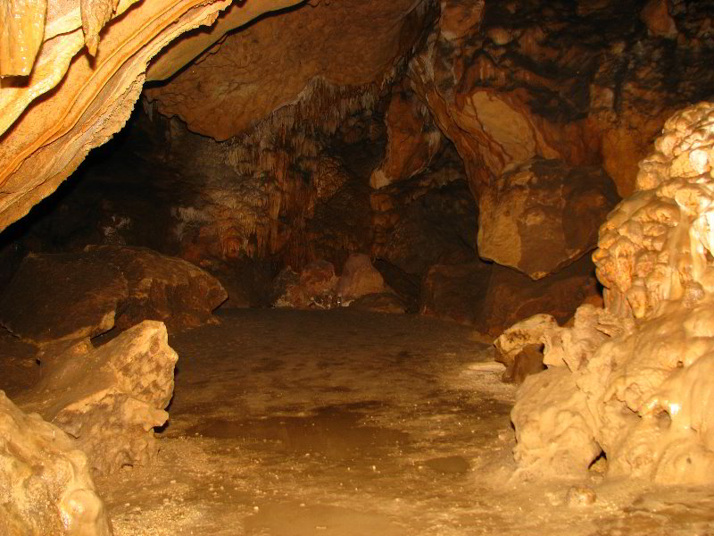 Florida-Caverns-State-Park-Marianna-FL-140