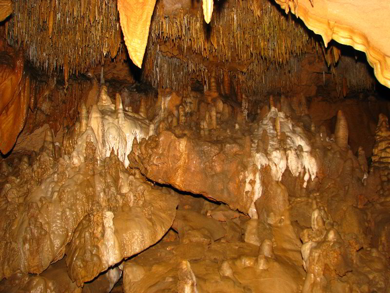 Florida-Caverns-State-Park-Marianna-FL-141