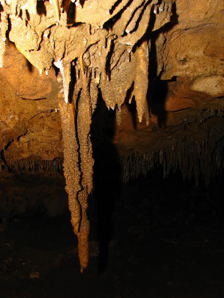 Florida-Caverns-State-Park-Marianna-FL-142