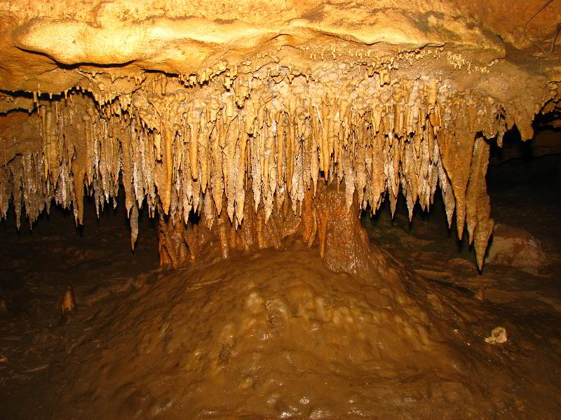 Florida-Caverns-State-Park-Marianna-FL-143