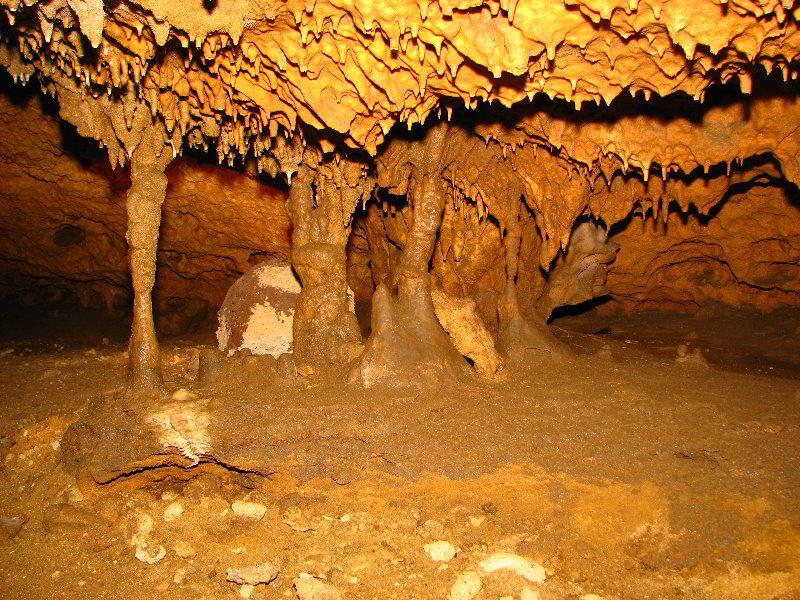 Florida-Caverns-State-Park-Marianna-FL-144