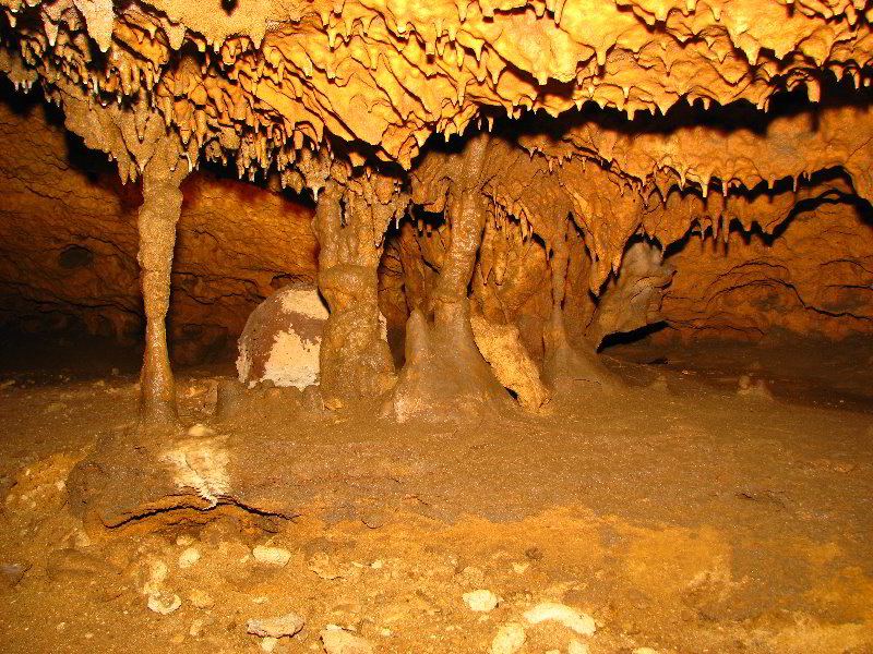 Florida-Caverns-State-Park-Marianna-FL-144