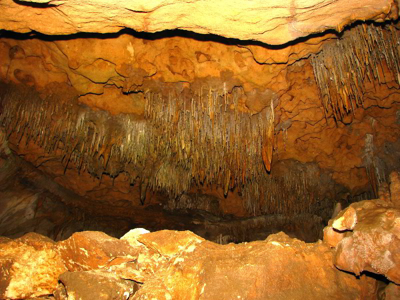 Florida-Caverns-State-Park-Marianna-FL-146