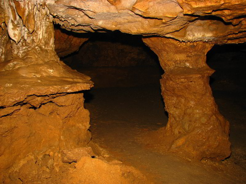 Florida-Caverns-State-Park-Marianna-FL-147