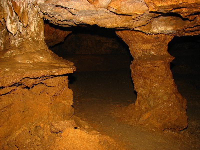 Florida-Caverns-State-Park-Marianna-FL-147