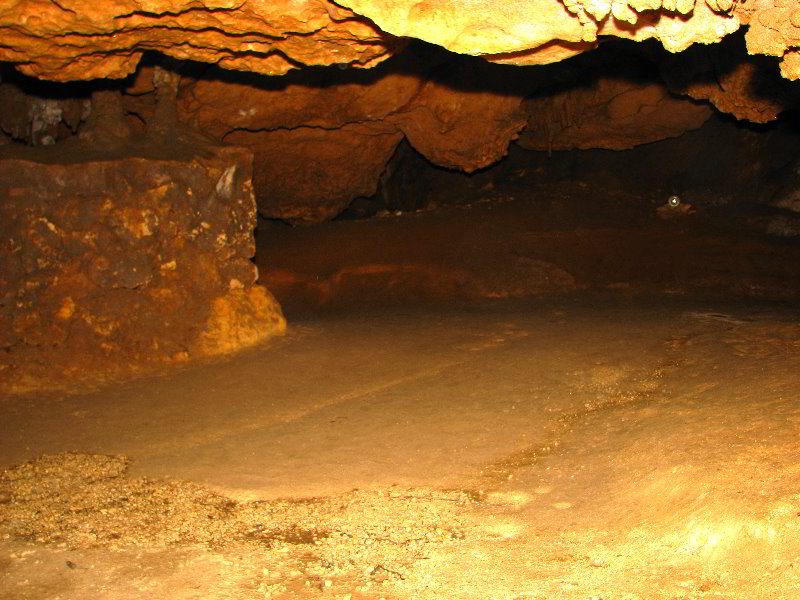 Florida-Caverns-State-Park-Marianna-FL-148