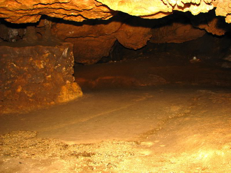 Florida-Caverns-State-Park-Marianna-FL-148