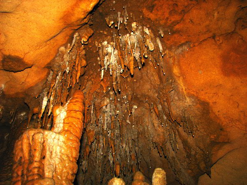 Florida-Caverns-State-Park-Marianna-FL-149