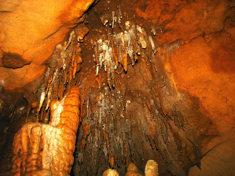 Florida-Caverns-State-Park-Marianna-FL-149