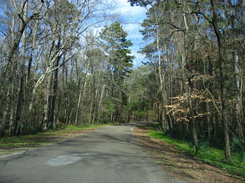 Florida-Caverns-State-Park-Marianna-FL-154