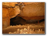 Florida-Caverns-State-Park-Marianna-FL-034