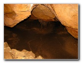 Florida-Caverns-State-Park-Marianna-FL-037