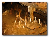 Florida-Caverns-State-Park-Marianna-FL-041