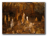 Florida-Caverns-State-Park-Marianna-FL-042