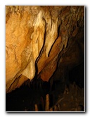 Florida-Caverns-State-Park-Marianna-FL-043