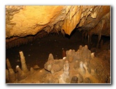 Florida-Caverns-State-Park-Marianna-FL-045