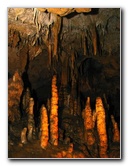 Florida-Caverns-State-Park-Marianna-FL-047