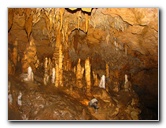 Florida-Caverns-State-Park-Marianna-FL-049