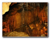 Florida-Caverns-State-Park-Marianna-FL-050