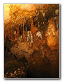 Florida-Caverns-State-Park-Marianna-FL-052