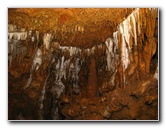 Florida-Caverns-State-Park-Marianna-FL-054