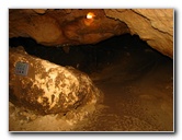 Florida-Caverns-State-Park-Marianna-FL-055