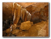 Florida-Caverns-State-Park-Marianna-FL-056