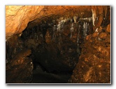 Florida-Caverns-State-Park-Marianna-FL-057