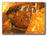 Florida-Caverns-State-Park-Marianna-FL-058