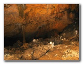 Florida-Caverns-State-Park-Marianna-FL-060