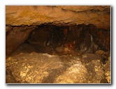 Florida-Caverns-State-Park-Marianna-FL-061