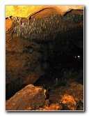 Florida-Caverns-State-Park-Marianna-FL-062