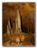 Florida-Caverns-State-Park-Marianna-FL-063