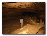 Florida-Caverns-State-Park-Marianna-FL-065