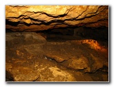 Florida-Caverns-State-Park-Marianna-FL-066