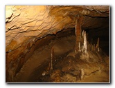 Florida-Caverns-State-Park-Marianna-FL-068