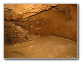 Florida-Caverns-State-Park-Marianna-FL-069