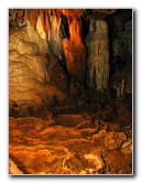 Florida-Caverns-State-Park-Marianna-FL-071